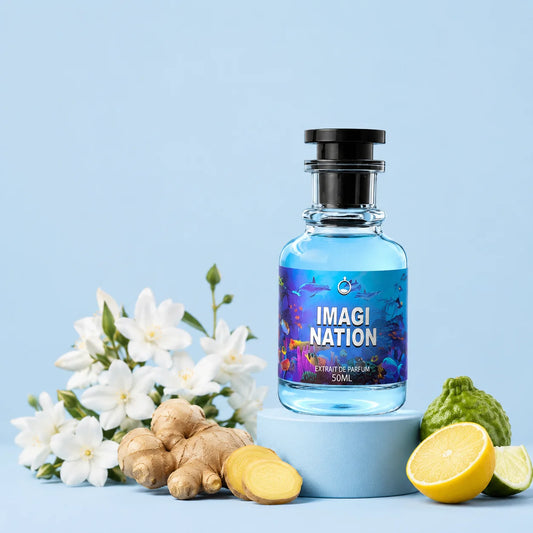 Imagination 50ML Perfume Impression
